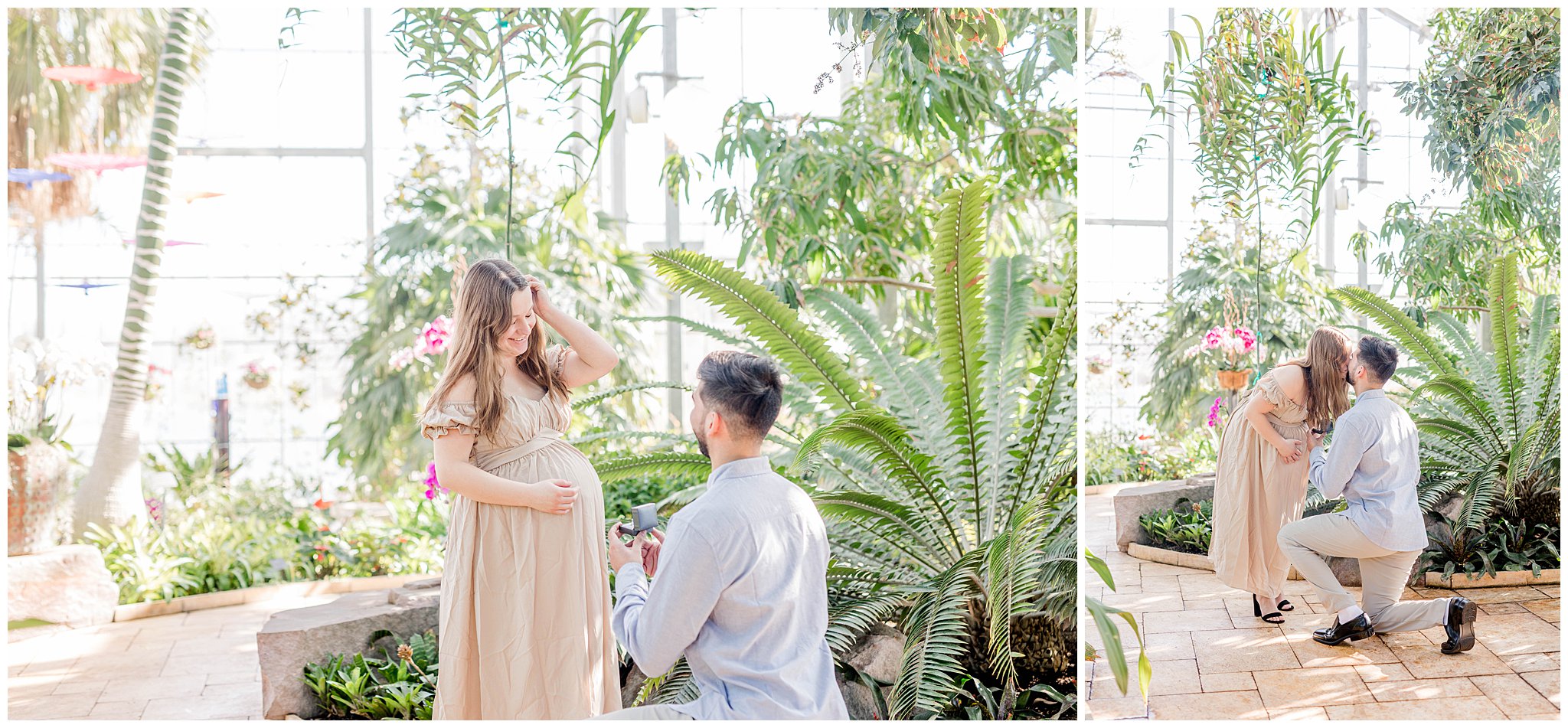 Featured image for “Surprise! It’s actually a proposal! – Nicholas Conservatory & Gardens, Rockford, Illinois”